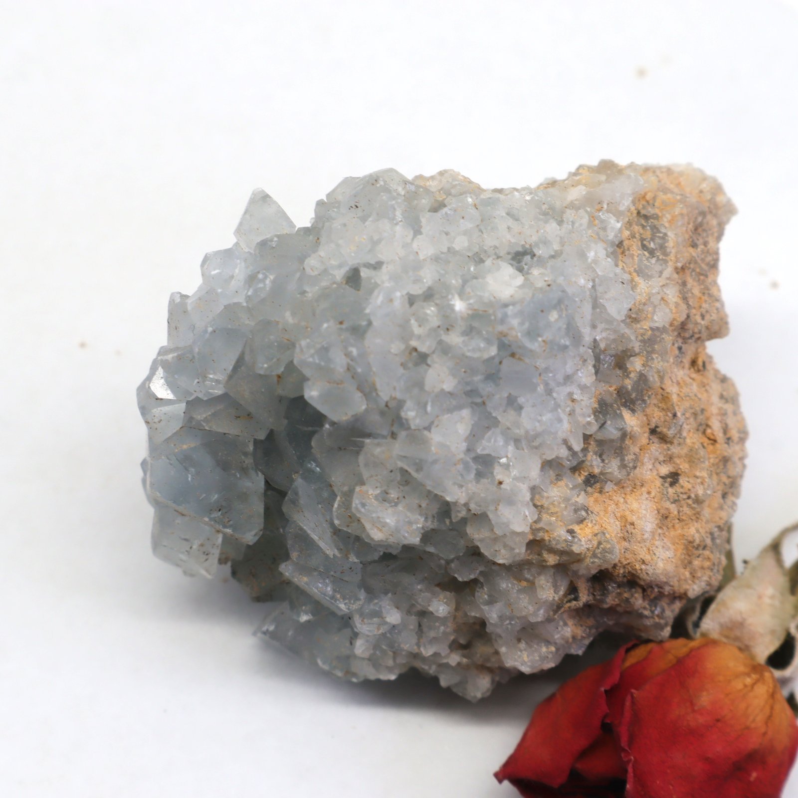 Celesite Cluster Rohstein Geode, Rohstein, Mineralien Kristall