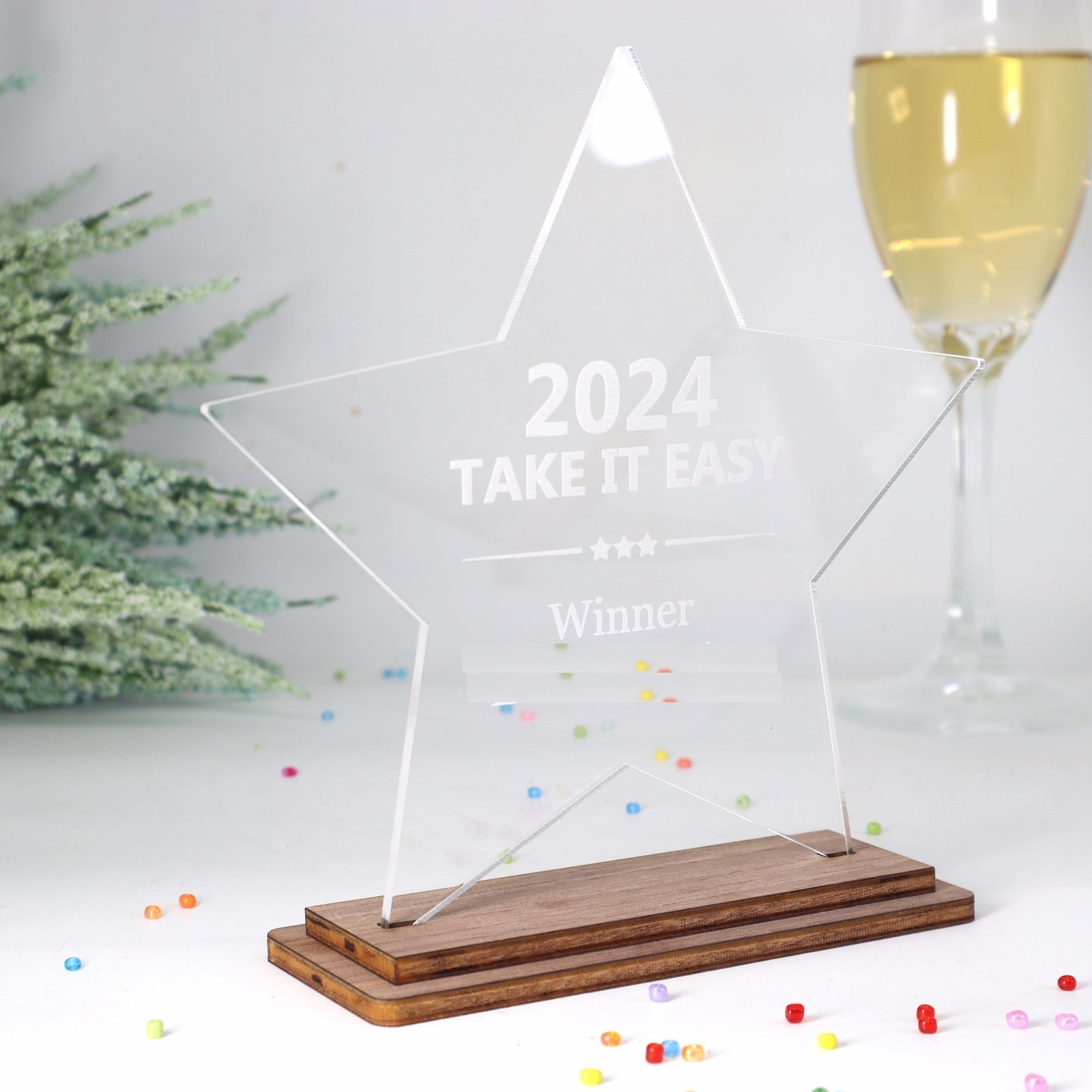 IMG_8021-scaled-1.jpg Award personalisiert edle Trophäe Award Stern Acrylglas 3 mm