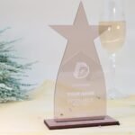 Stern Trophäe aus Acryl, personalisierter eigener Text oder Logo