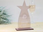 Stern Trophäe aus Acryl, personalisierter eigener Text oder Logo – Bild 3