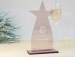 Stern Trophäe aus Acryl, personalisierter eigener Text oder Logo – Bild 3