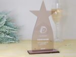 Stern Trophäe aus Acryl, personalisierter eigener Text oder Logo – Bild 4