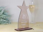Stern Trophäe aus Acryl, personalisierter eigener Text oder Logo – Bild 5