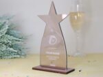 Stern Trophäe aus Acryl, personalisierter eigener Text oder Logo – Bild 6