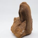 Versteinerte Muschel, Mineralien Cluster, Kristall Stufe, unbehandelter Brocken, zur Schmuckherstellung, Edelstein schleifen und Sammeln