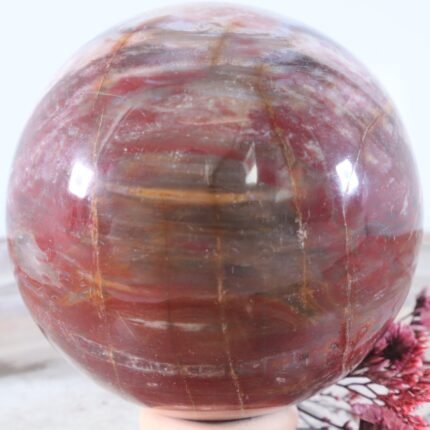 Große Versteinertes Holz Edelsteinkugel