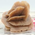 Wüstenrose | Sandrose | Wunschstein | Selenit – Bild 7